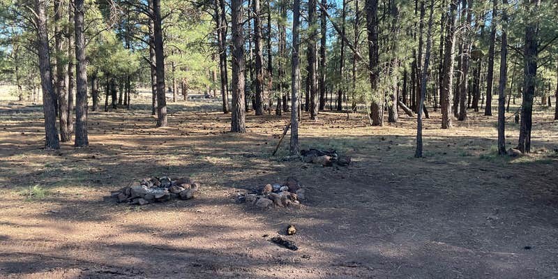 Camper submitted image from Fish Creek Camp