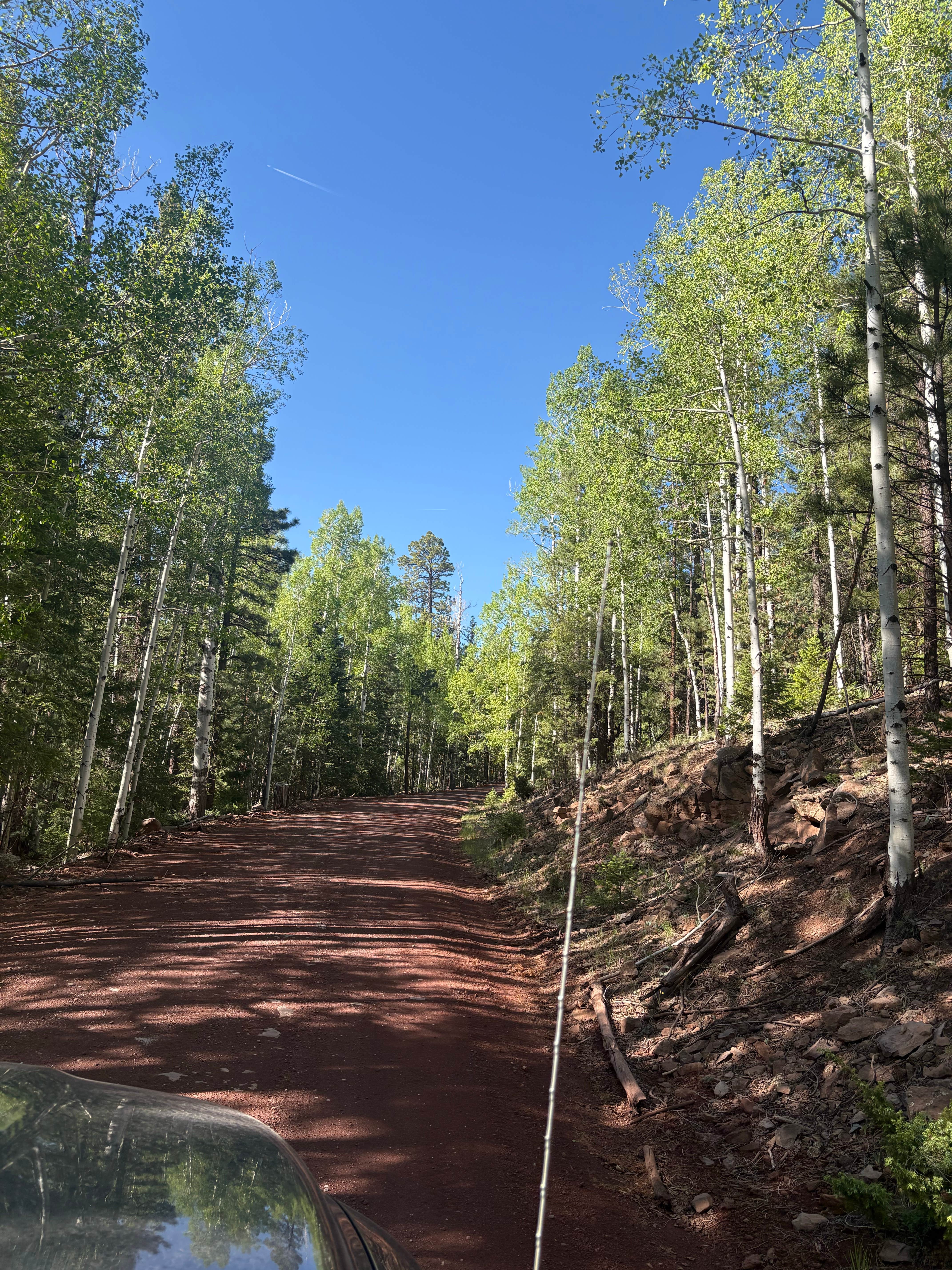 Camper-submitted photo at Fish Creek Camp near Alpine, AZ