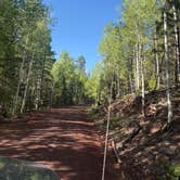 Review photo of Fish Creek Camp by Danielle R., July 25, 2026