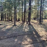 Review photo of Fish Creek Camp by Mike W., March 26, 2026
