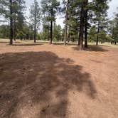 Review photo of Fish Creek Camp by Danielle R., July 25, 2026