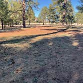 Review photo of Fish Creek Camp by Mike W., March 26, 2026