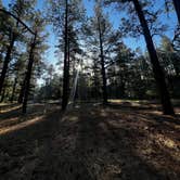 Review photo of Fish Creek Camp by Brandi S., July 11, 2026