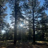 Review photo of Fish Creek Camp by Brandi S., July 11, 2026