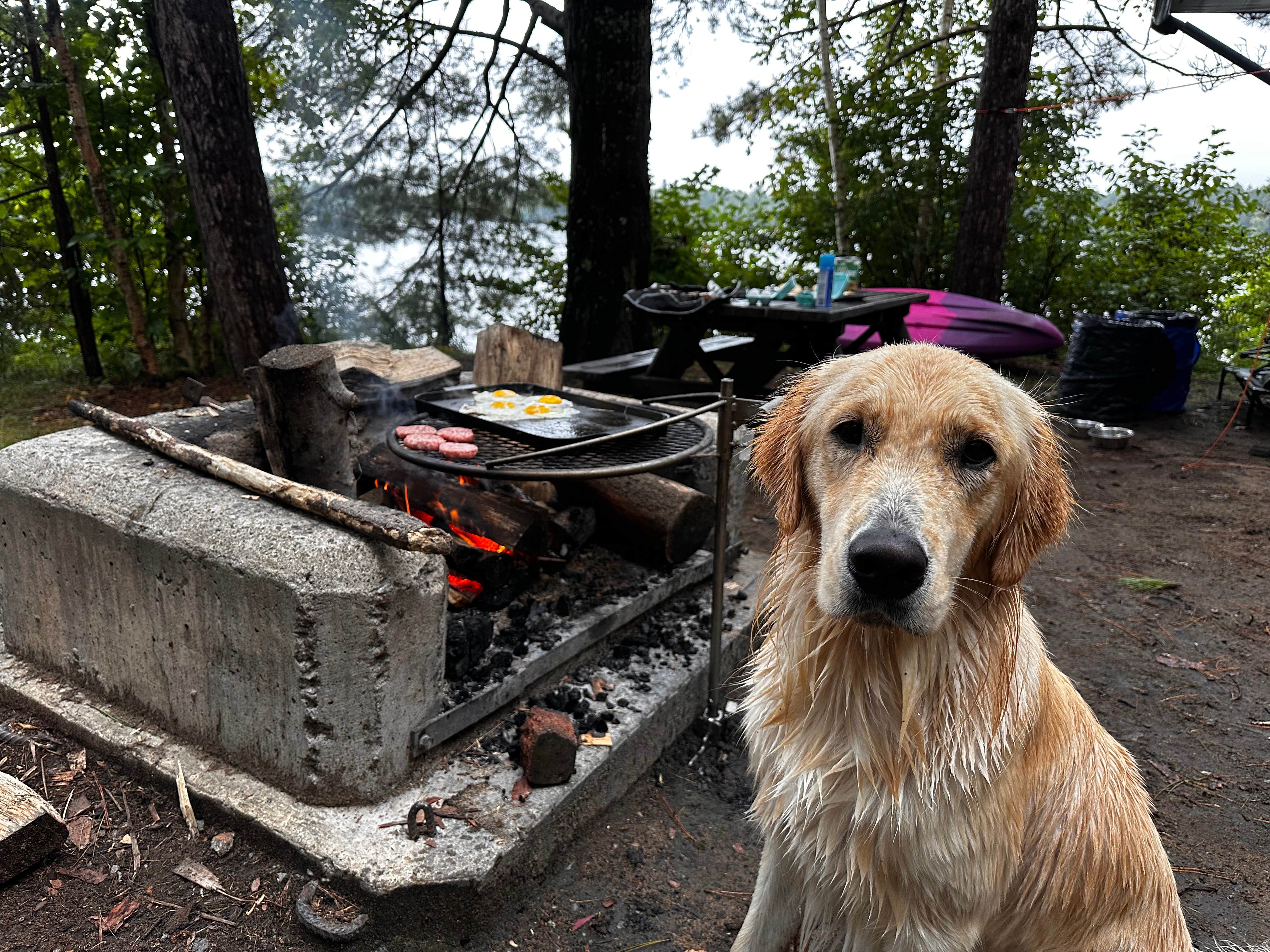 Oleńka S.'s photo of camping with pets at Fish Creek Pond Campground near Cranberry Lake, NY