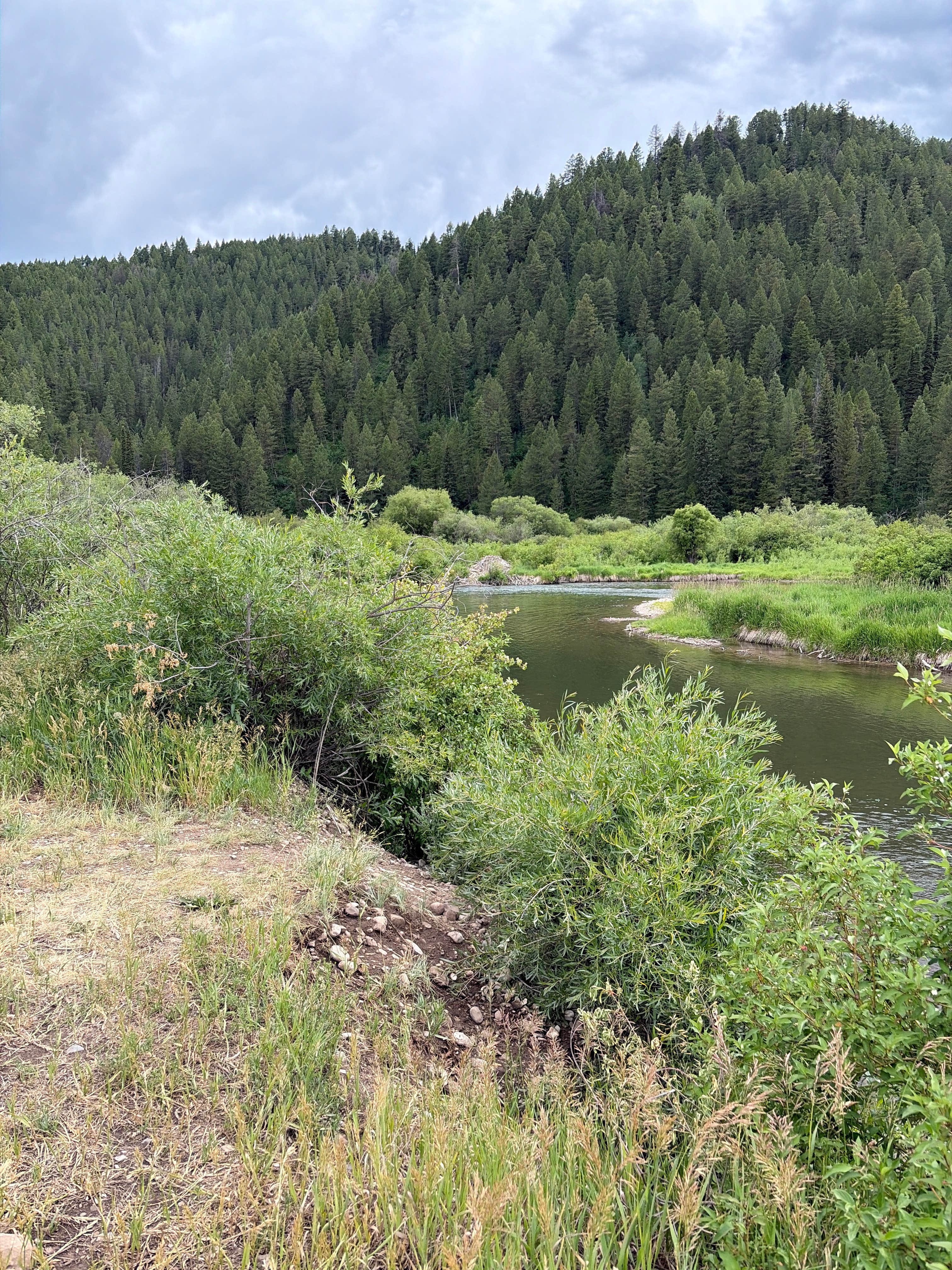 Camper-submitted photo at Fish Fry on Salt River near Bedford, WY