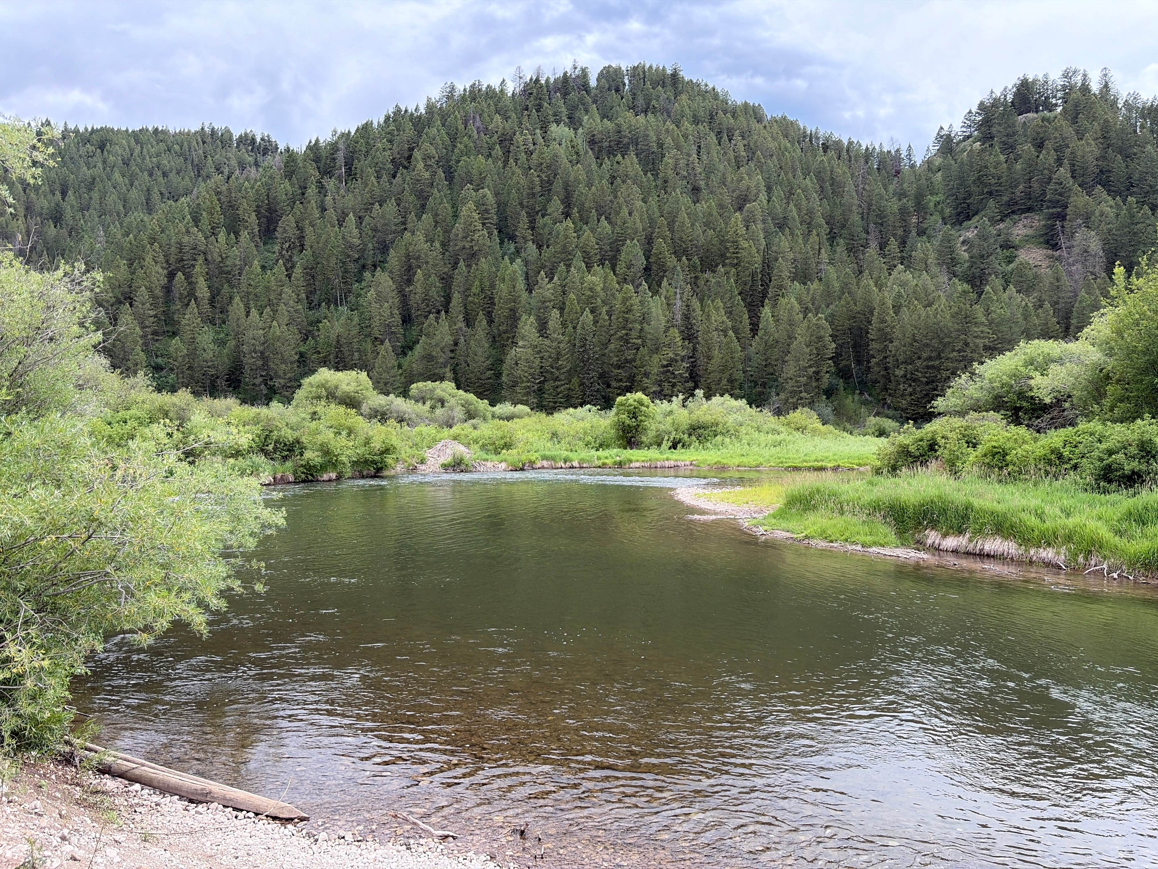 Camping near Meadows Cabin: Fish Fry on Salt River, Thayne, Wyoming