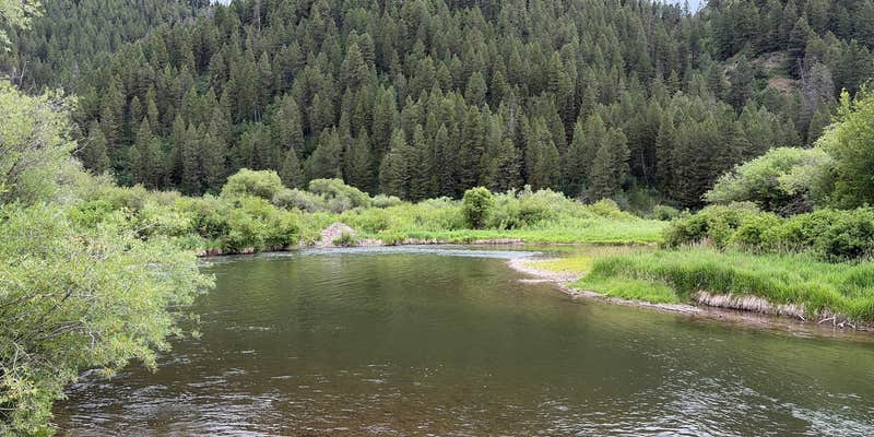 Camper submitted image from Fish Fry on Salt River