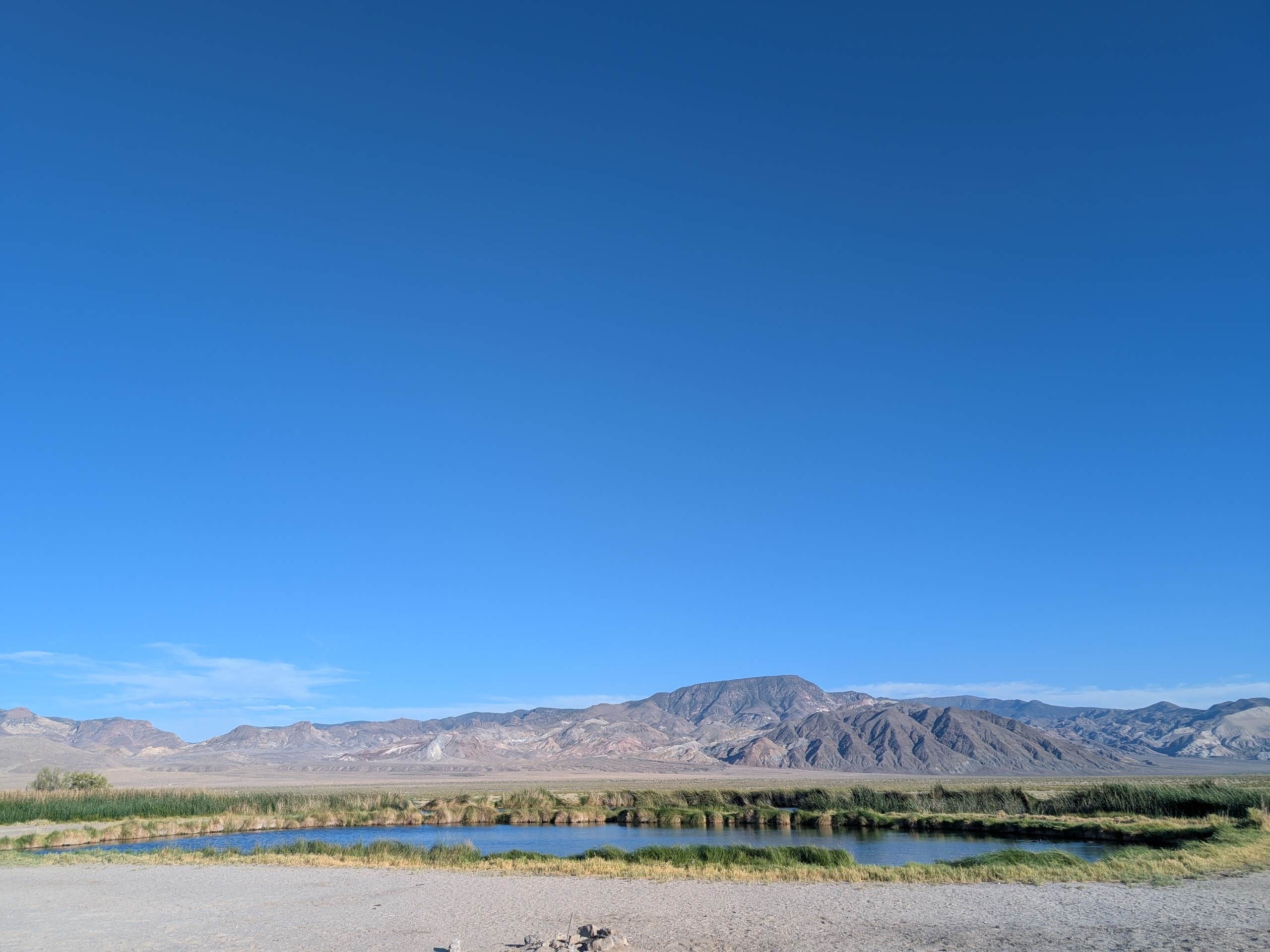 Camper submitted image from Fish Lake Valley Hot Springs - 1