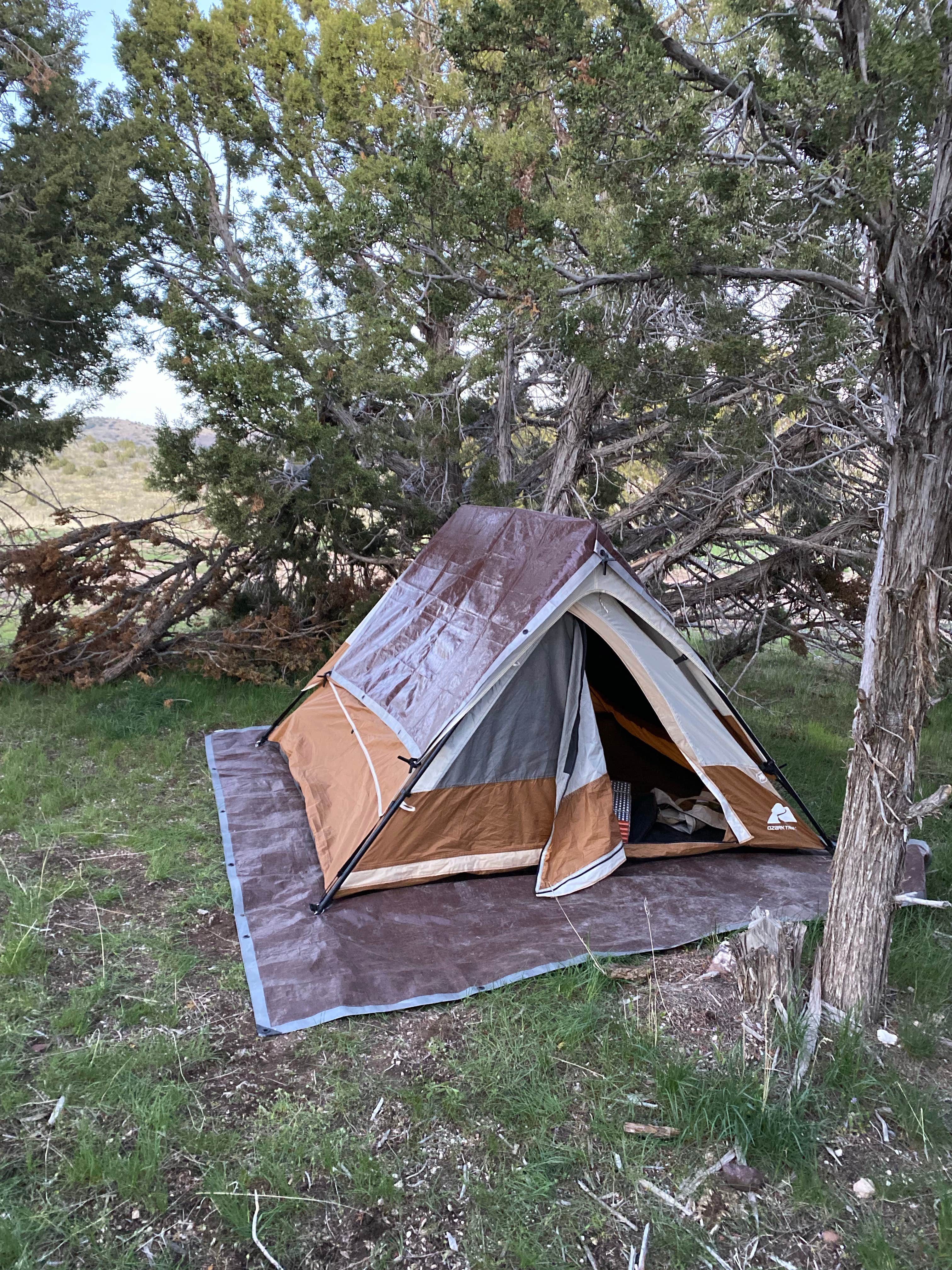 Camper submitted image from Fish Lake National Forest Campsite - 3