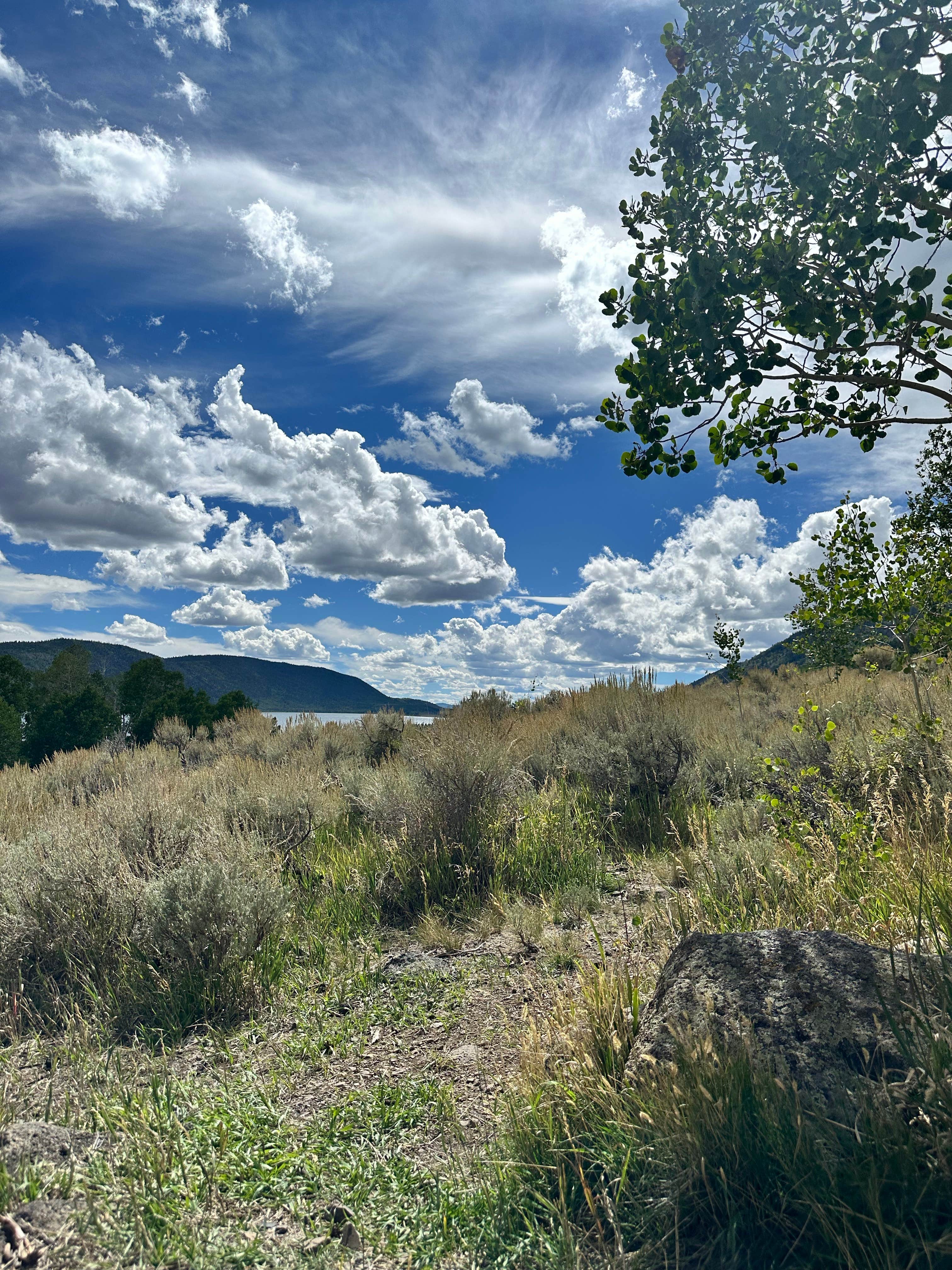 Camper-submitted photo at Fish Lake National Forest Campsite near Delta, UT