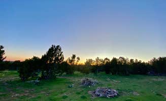 Ean P.'s photo of a dispersed camping area at Fish Lake National Forest Campsite near Sevier, UT