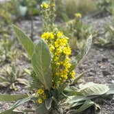 Review photo of Fish Lake National Forest Campsite by Tamie S., November 10, 2025
