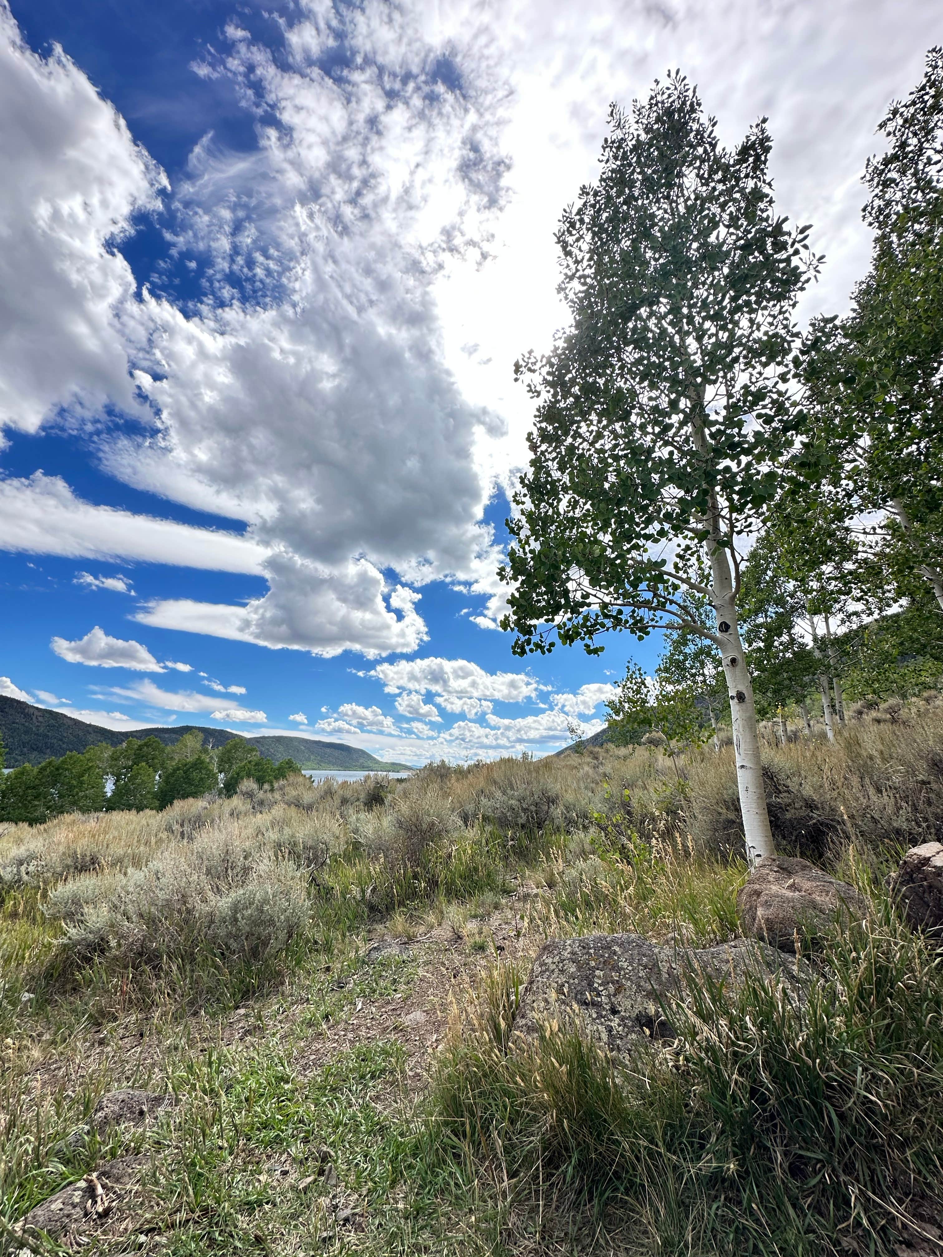 Camper-submitted photo at Fish Lake National Forest Campsite near Delta, UT