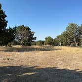 Review photo of Fish Lake National Forest Campsite by Megan W., July 10, 2024