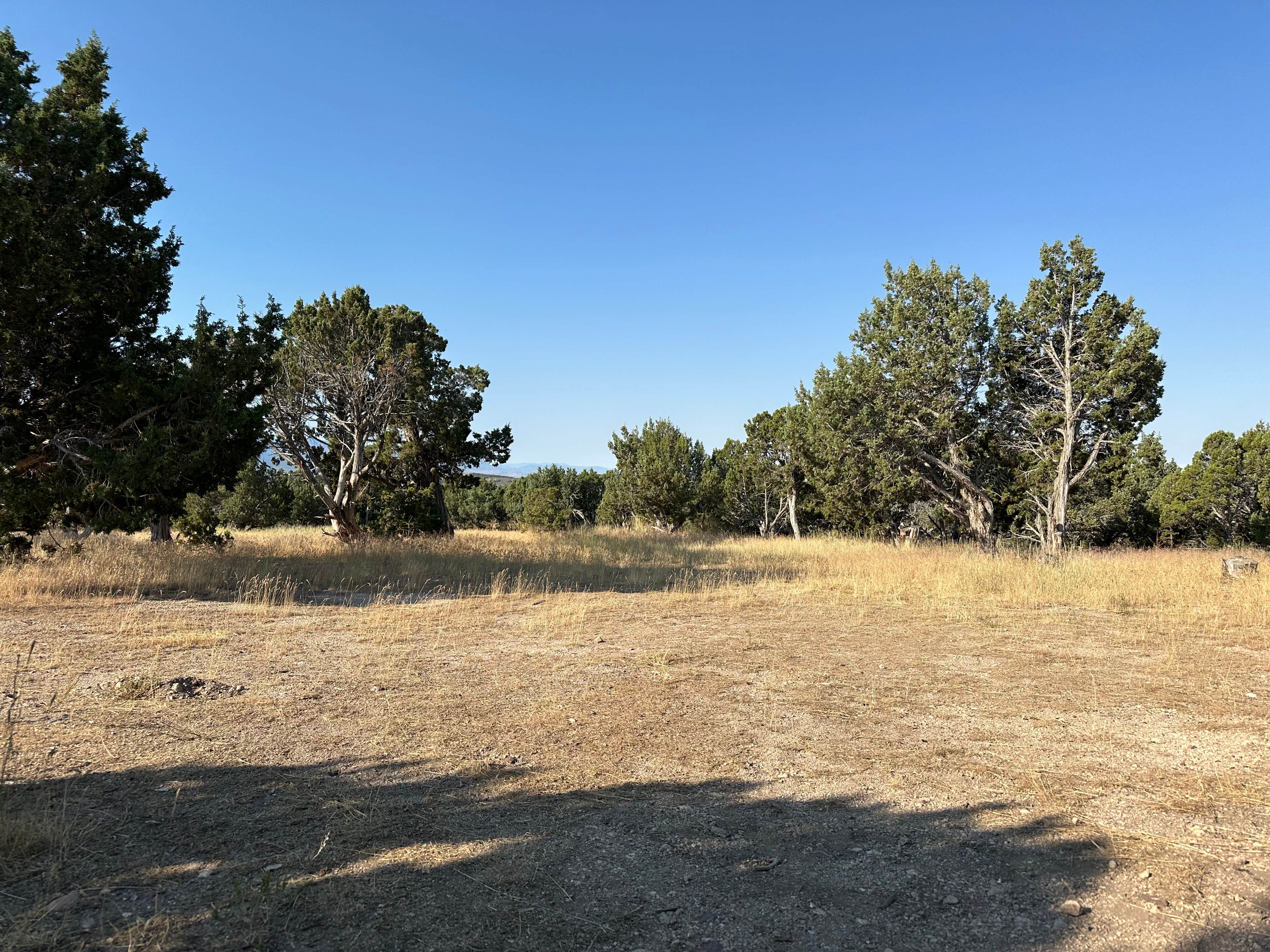 Camper submitted image from Fish Lake National Forest Campsite - 1