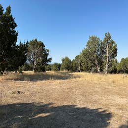 Fish Lake National Forest Campsite