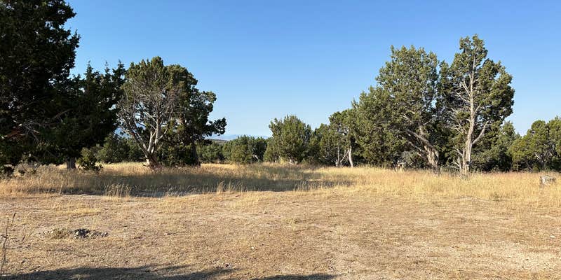 Camper submitted image from Fish Lake National Forest Campsite