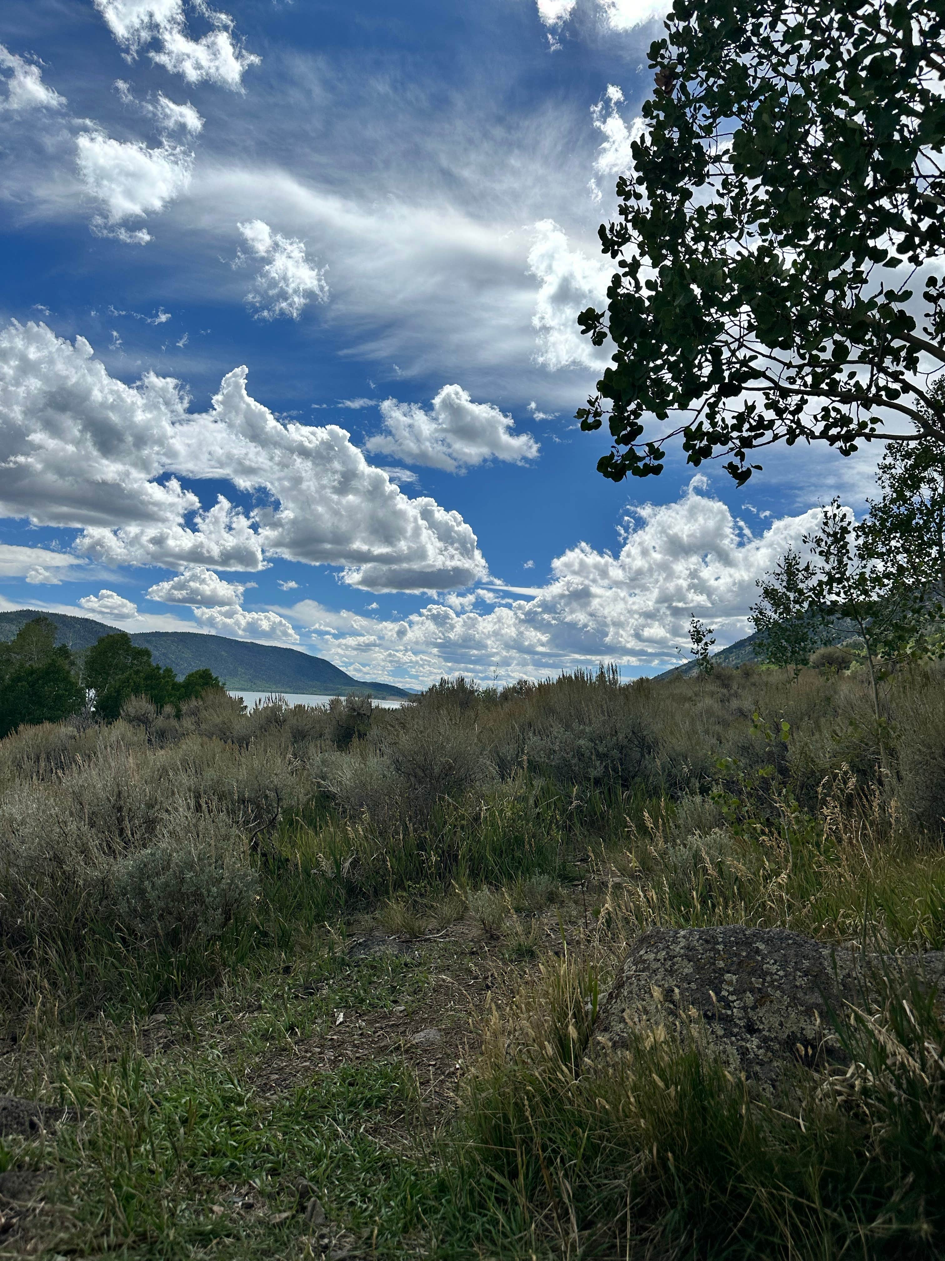 Camper-submitted photo at Fish Lake National Forest Campsite near Delta, UT