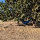 Review photo of Fish Lake National Forest Campsite by Valorie H., June 15, 2024