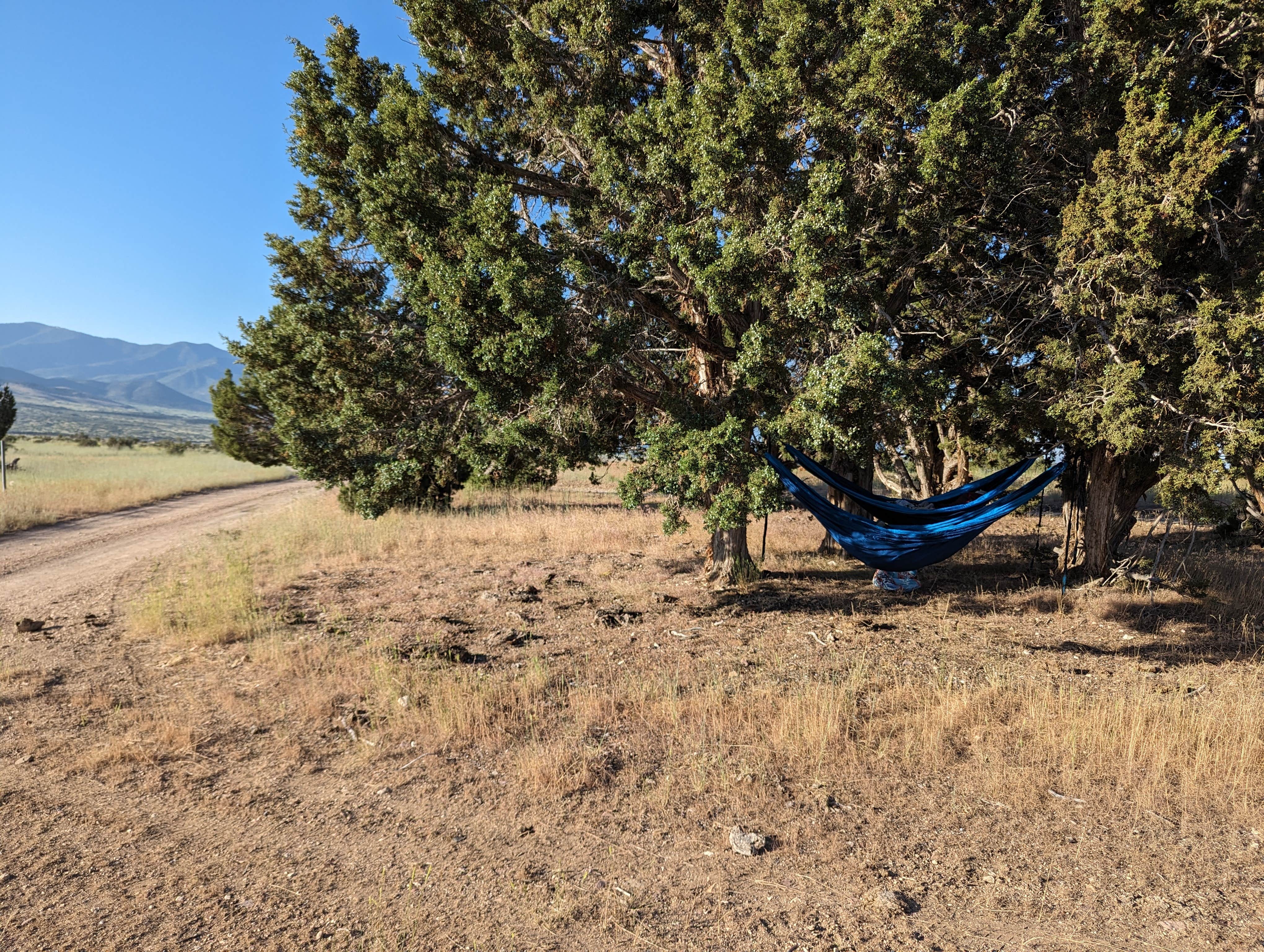 Camper submitted image from Fish Lake National Forest Campsite - 3