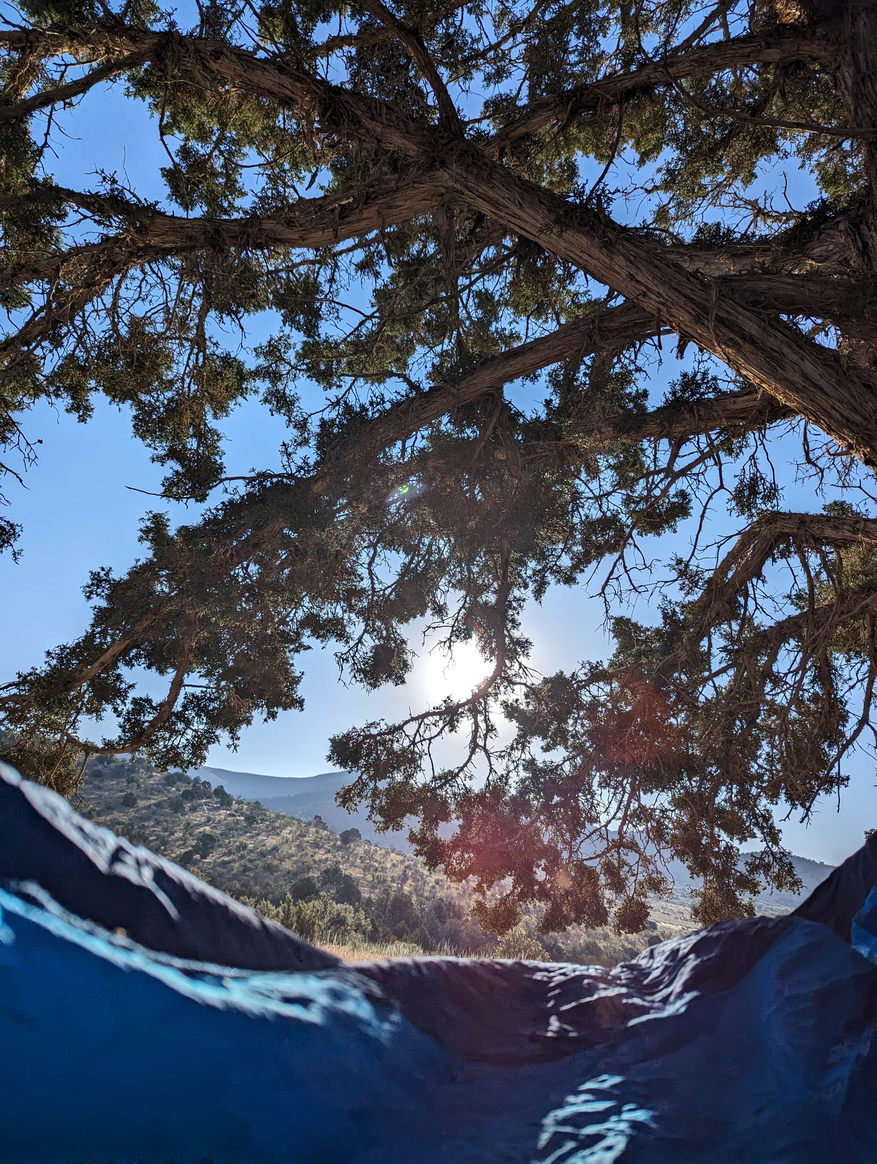 Camper submitted image from Fish Lake National Forest Campsite - 2