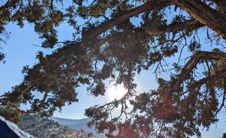 Valorie H.'s photo of a dispersed camping area at Fish Lake National Forest Campsite near Meadow, UT