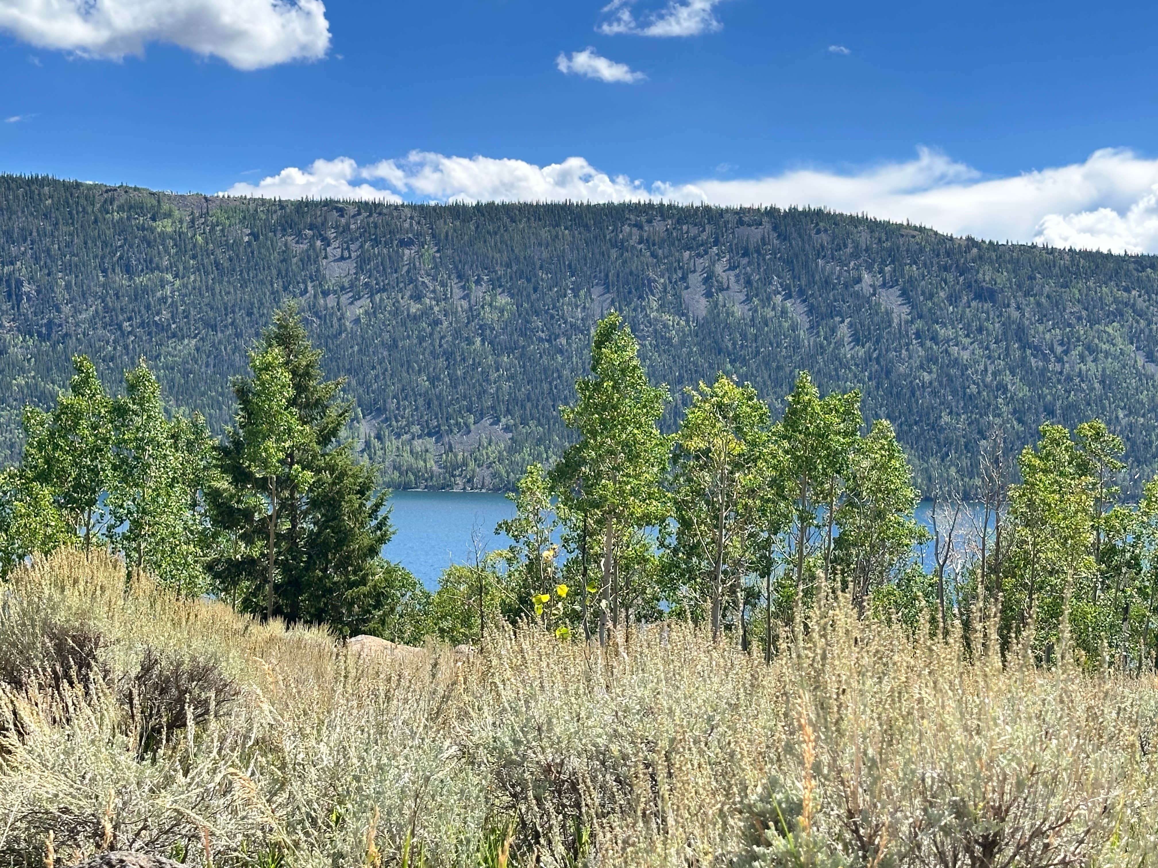 Tamie S.'s photo of a dispersed camping area at Fish Lake National Forest Campsite near Aurora, UT