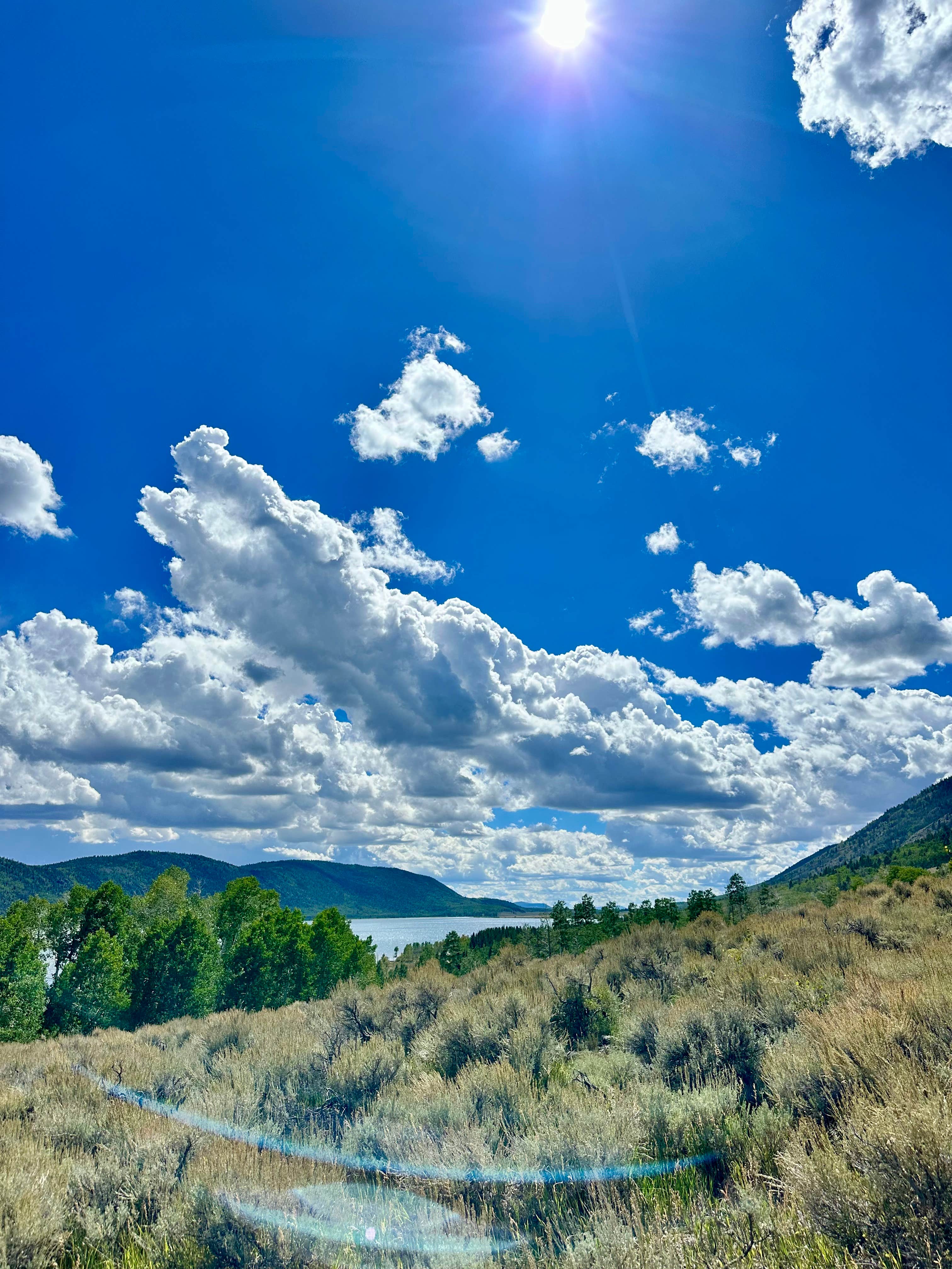 Camper-submitted photo at Fish Lake National Forest Campsite near Delta, UT