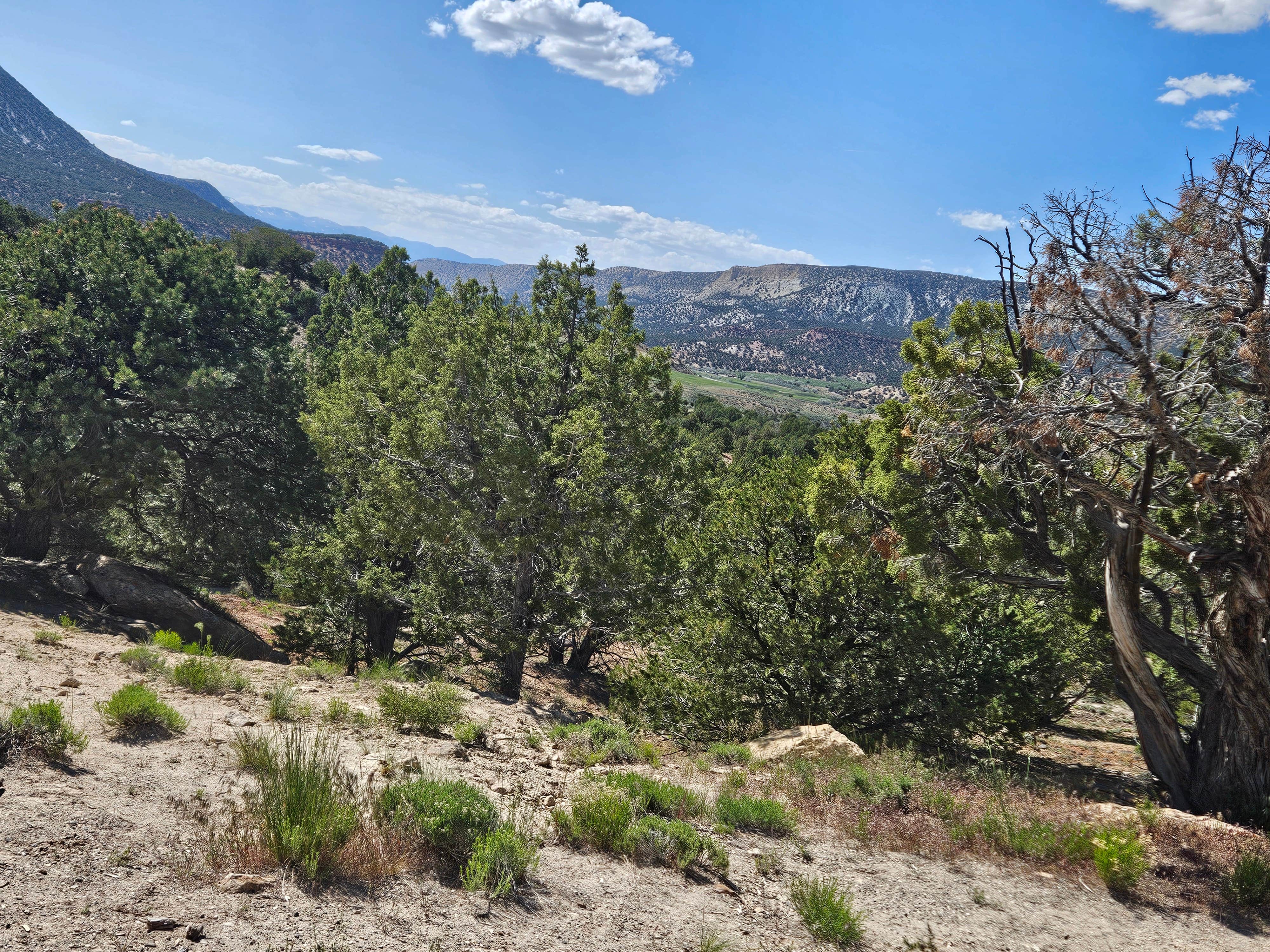 Fish Lake National Forest