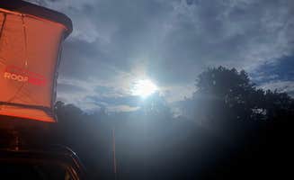 Elizabeth C.'s photo of a dispersed camping area at Fish Lake National Forest near Sevier, UT