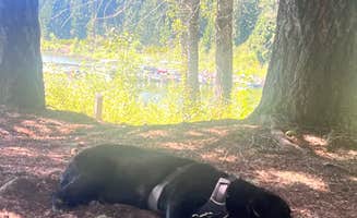 Kirsten G.'s photo of camping with pets at Fish Lake Resort near Lakeview, OR