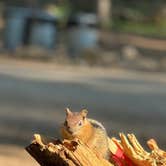 Review photo of Fish Lake Resort by Robin K., July 30, 2024