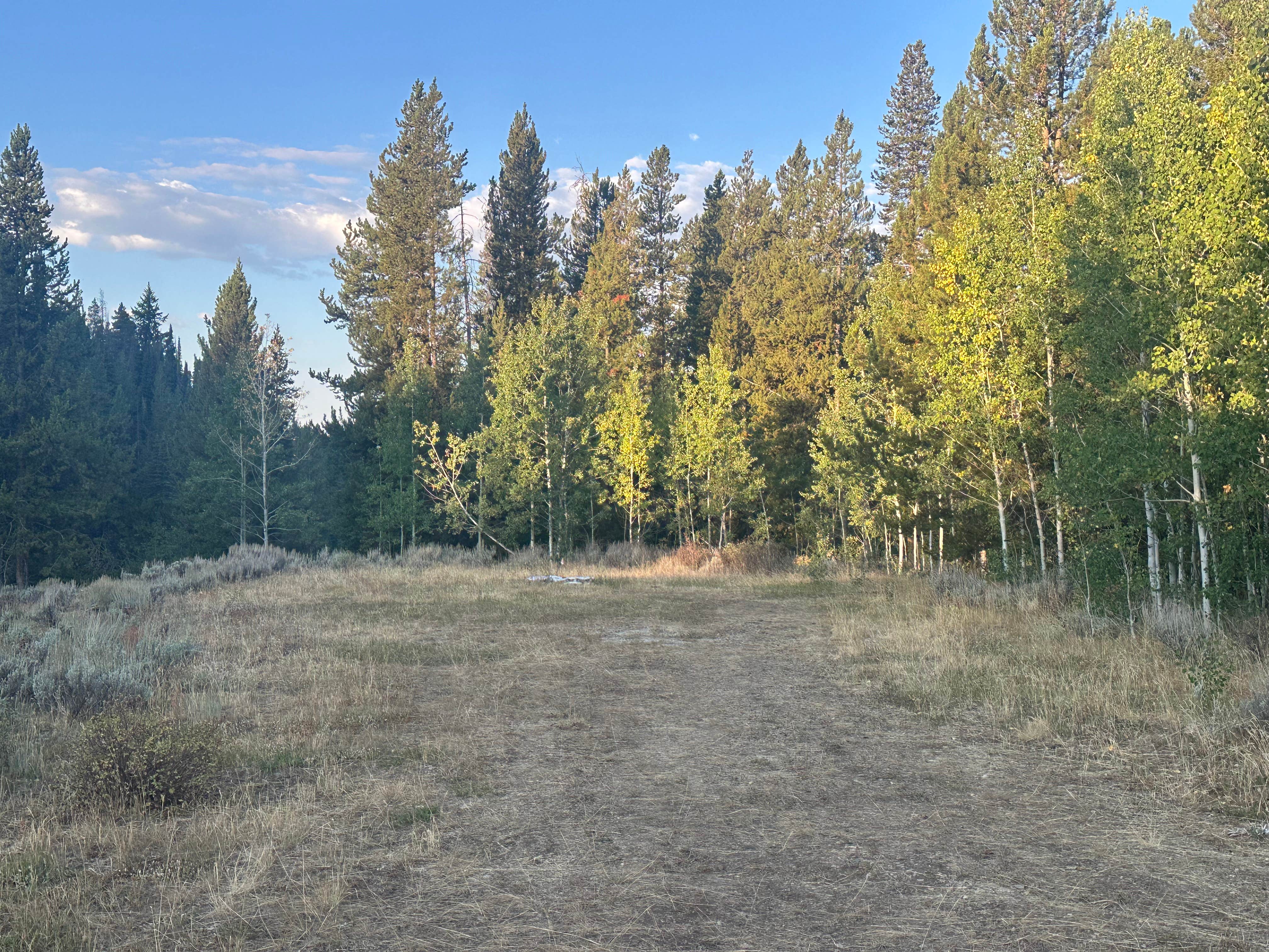 Camper-submitted photo at Fisherman Creek Road near Grover, WY