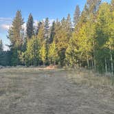 Review photo of Fisherman Creek Road by Donald B., September 2, 2025