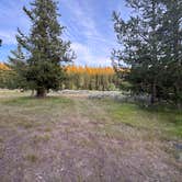 Review photo of Fisherman Creek Road by Angie S., July 17, 2025