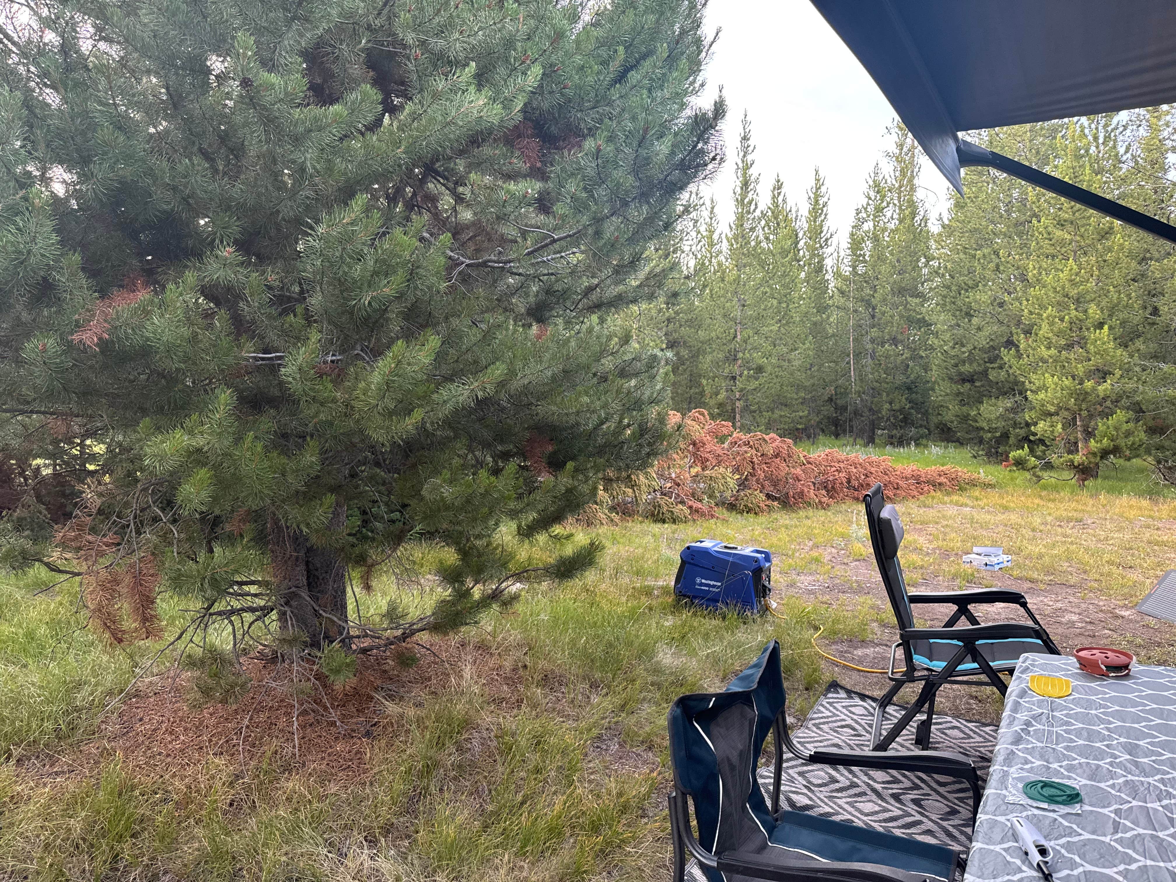 Angie S.'s photo at Fisherman Creek Road near Bridger-Teton National Forest