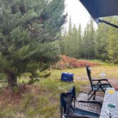 Review photo of Fisherman Creek Road by Angie S., July 17, 2025