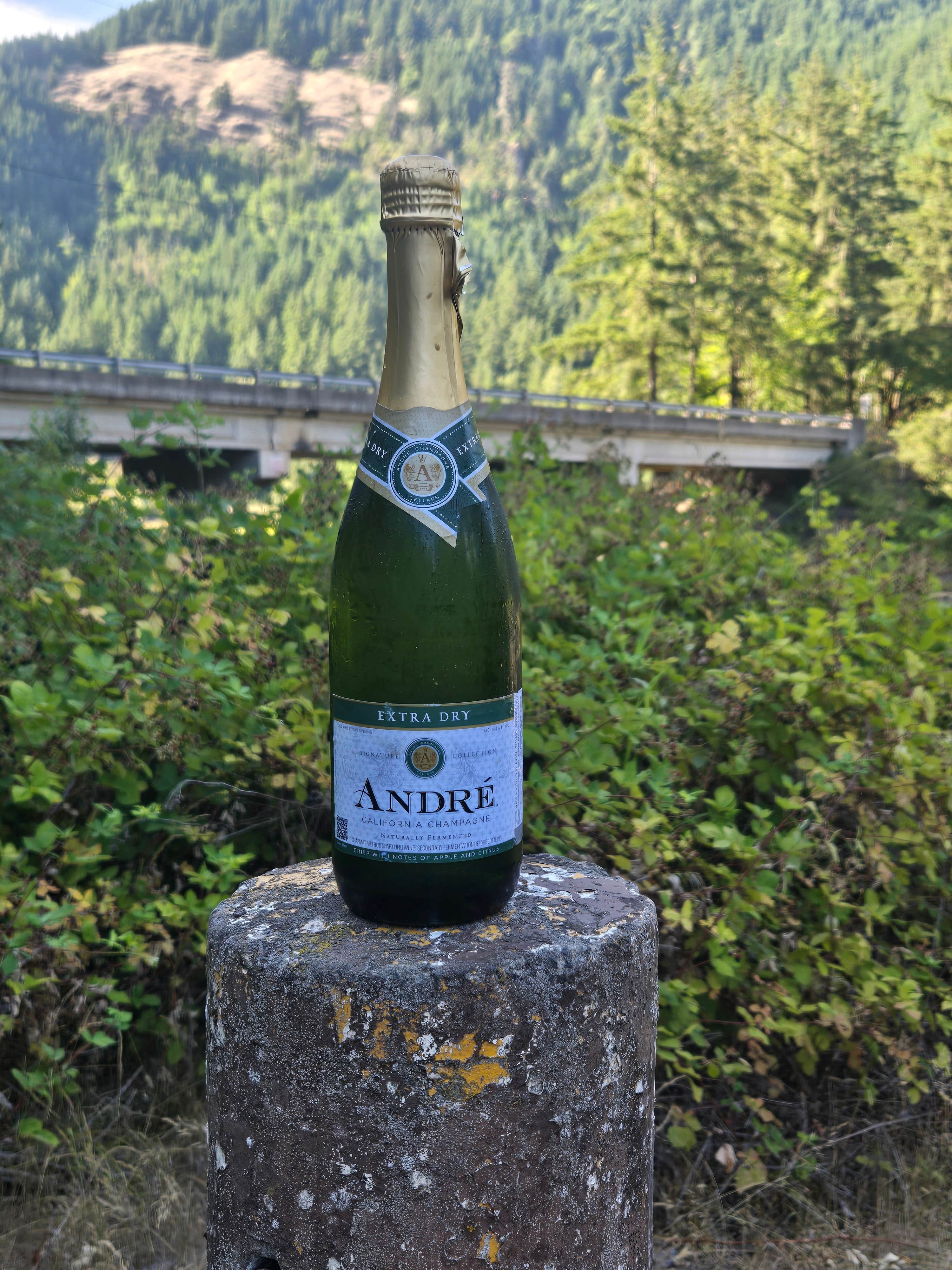 Camper-submitted photo at Fisherman’s Point Group Campground — Fall Creek State Recreation Area near Dexter, OR