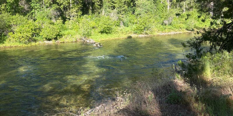 Camper submitted image from Fishing access near i90 exit 30
