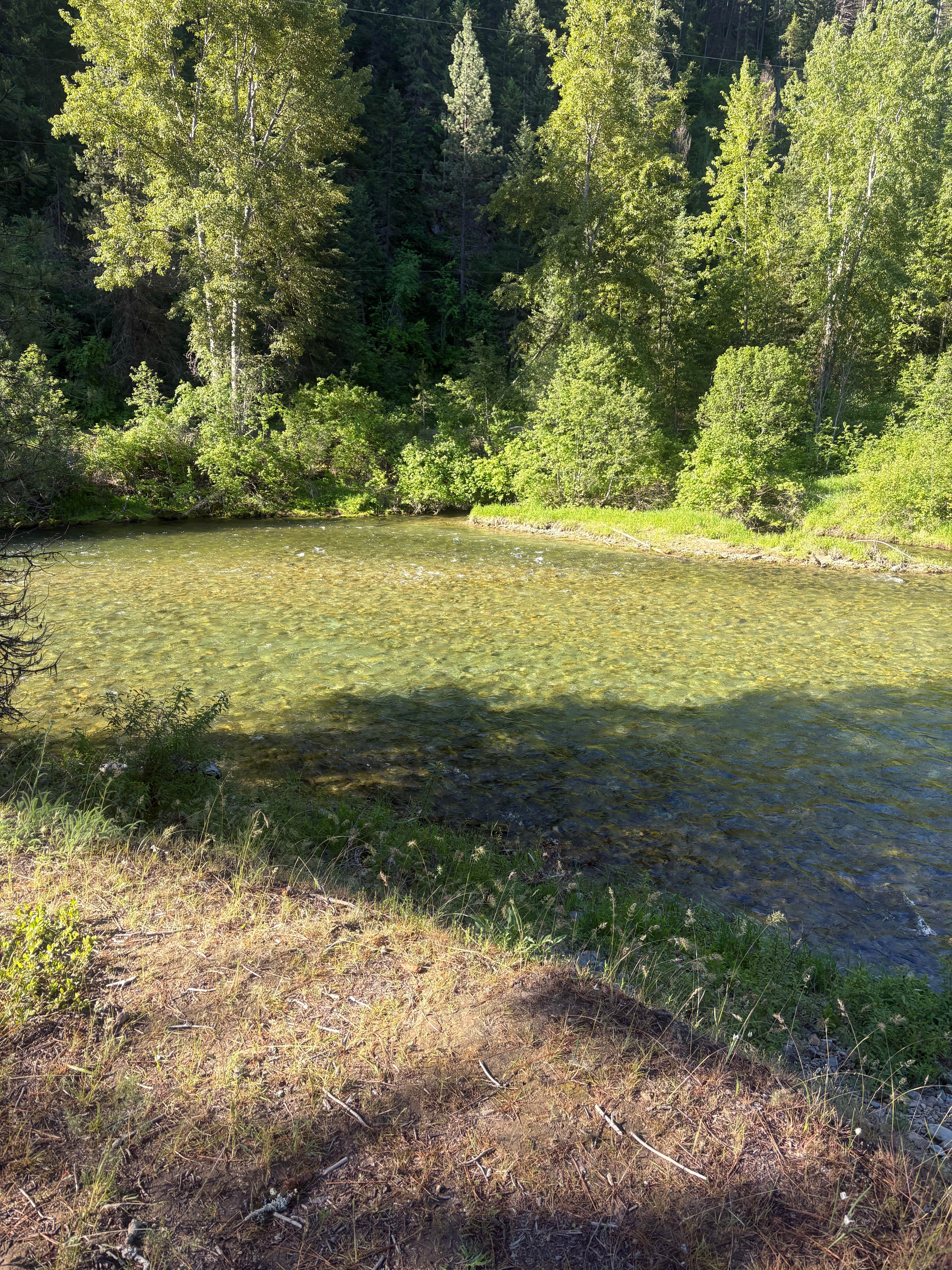 Camper-submitted photo at Fishing access near i90 exit 30 near De Borgia, MT