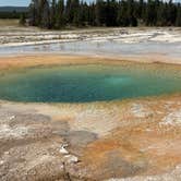 Review photo of Fishing Bridge RV Park--Yellowstone National Park by Beth B., July 16, 2025