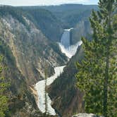 Review photo of Fishing Bridge RV Park--Yellowstone National Park by Beth B., July 16, 2025
