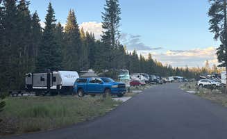 Beth B.'s photo of rv camping at Fishing Bridge RV Park--Yellowstone National Park near Silver Gate, MT