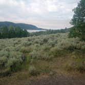 Review photo of Bowery Creek Rec Site by Sondra W., July 14, 2025