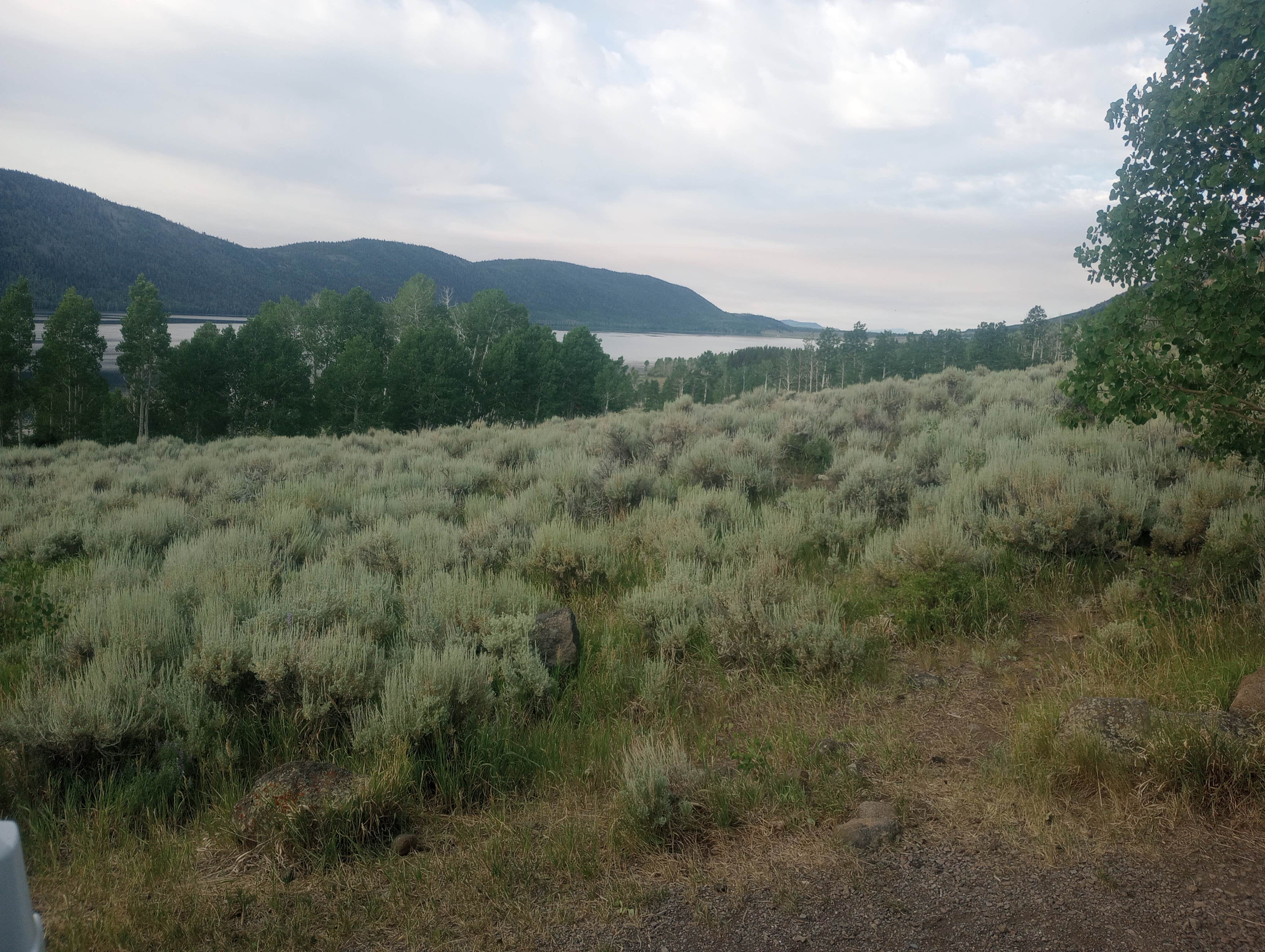 Camper submitted image from Bowery Creek Rec Site - 1