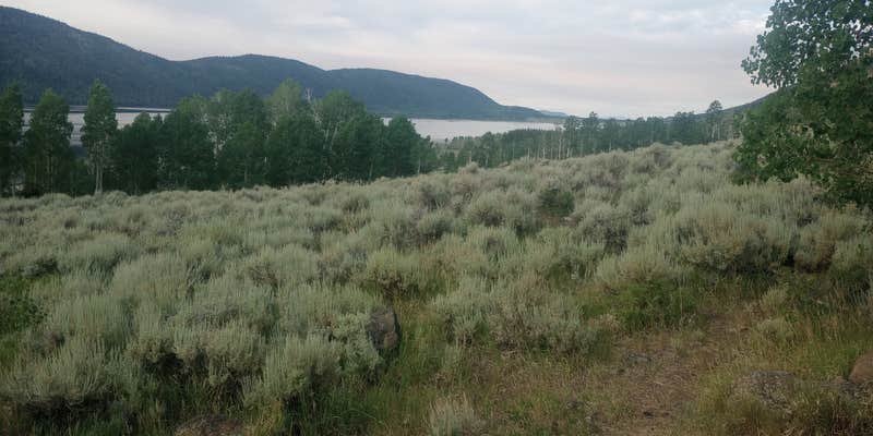 Camper submitted image from Bowery Creek Rec Site