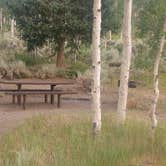 Review photo of Bowery Creek Rec Site by Sondra W., July 14, 2025