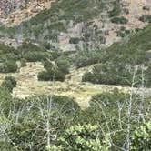 Review photo of Fishlake National Forest Oak Creek Rec Site by Roger W., June 23, 2026