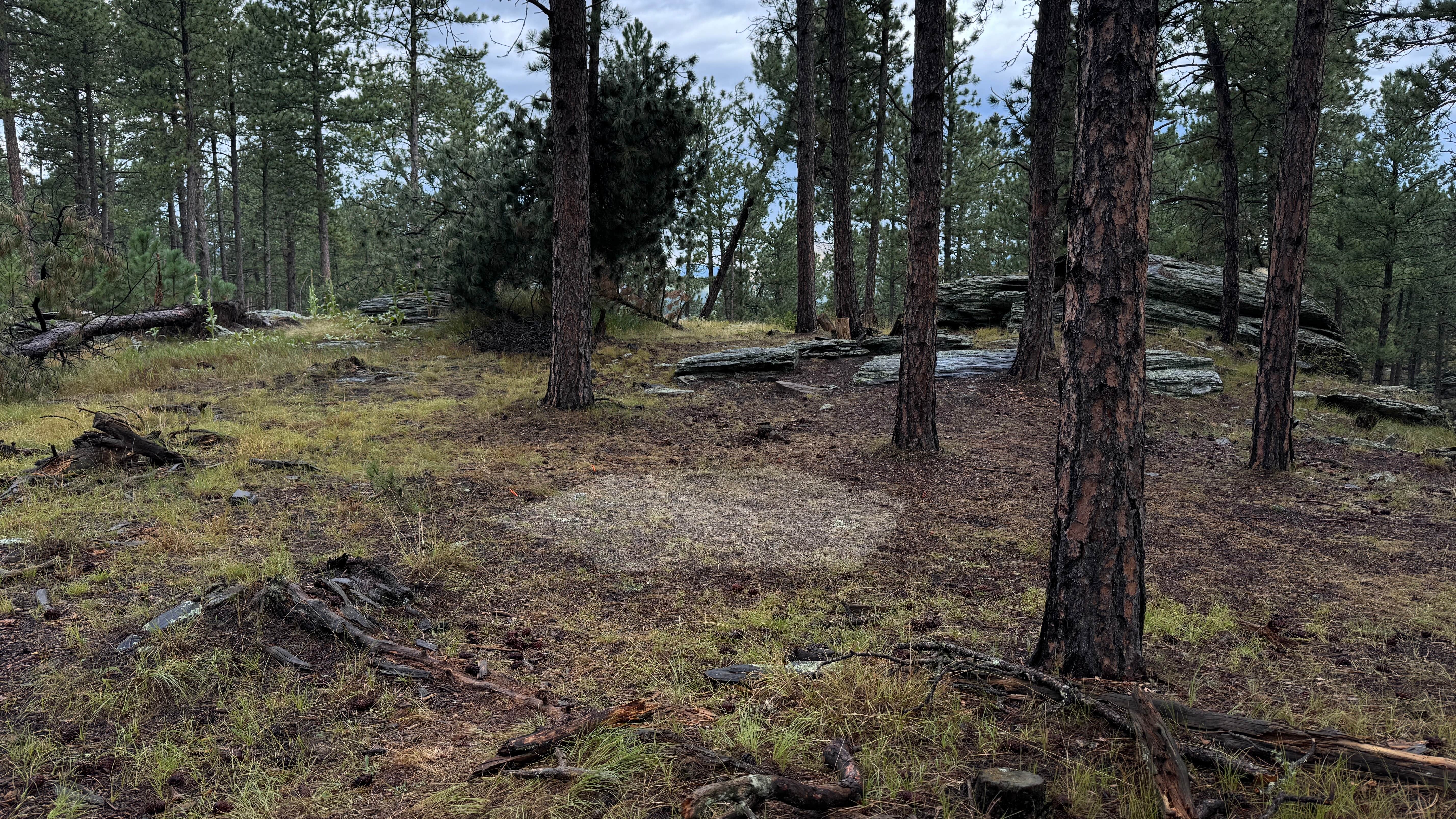 Camper-submitted photo at Fishy Wilderness near Hill City, SD